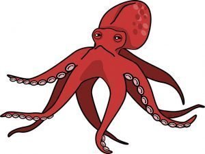 Imagen de pulpo - Nancy Playa