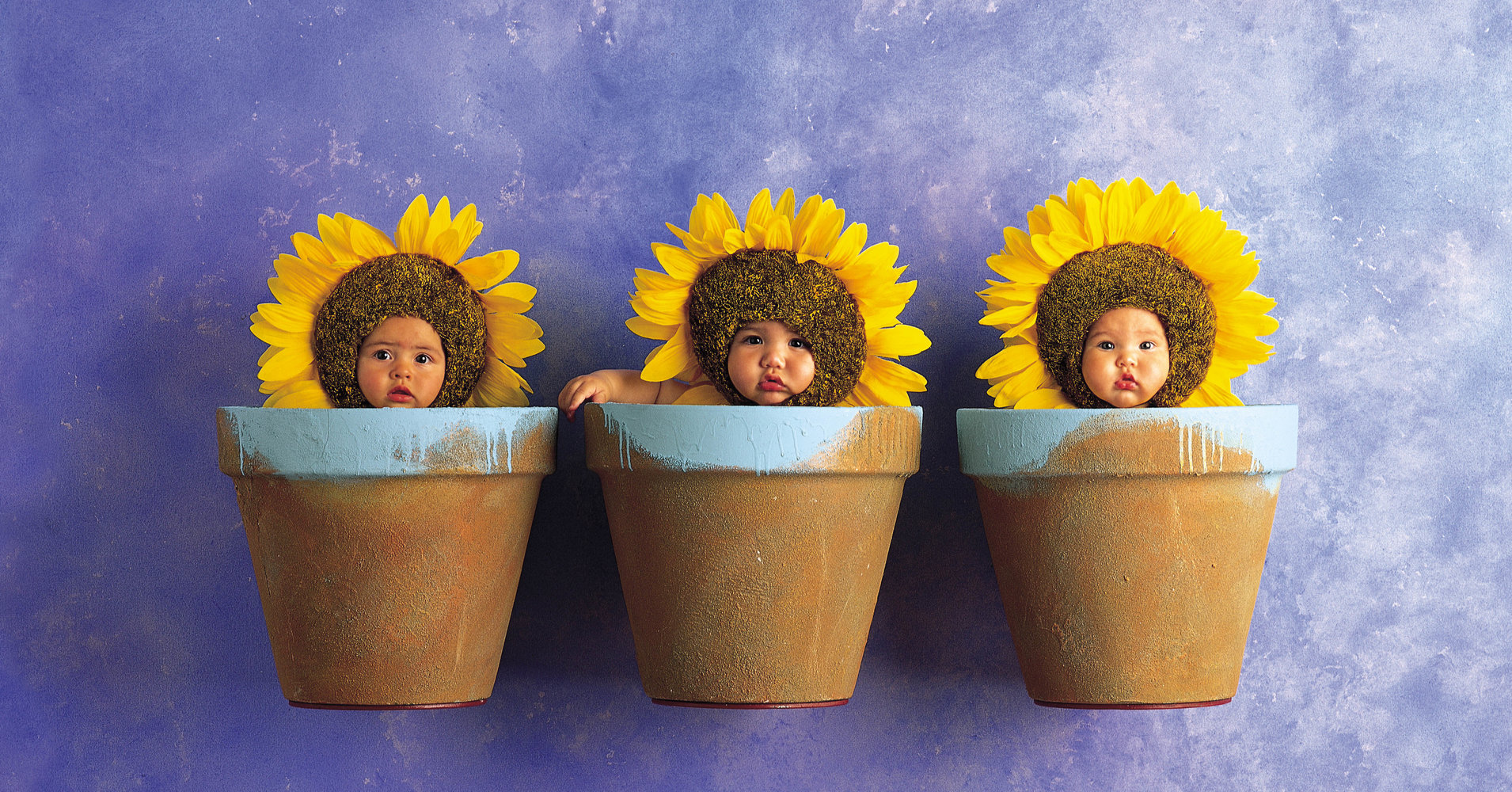 Fotografía de Anne Geddes a bebés